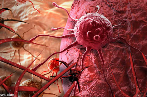 ��֢����