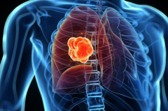 ��֢���ڻ����ٶ�����ְ�֢֢״