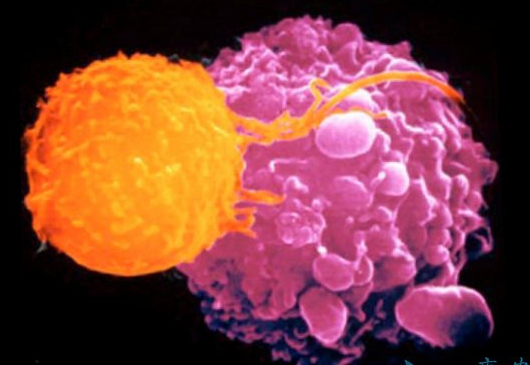 1522307660668929.png blob.png