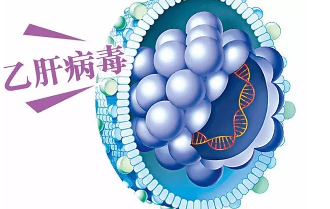 乙肝转阴 乙肝转阴