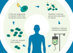 2017��ŵ���ͼ����µ�����CAR-Tϸ����Ʒ��������