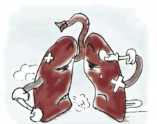 ���Ľ���ɱ�ַΰ���Ⱦ��