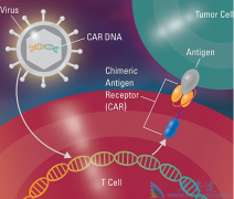 CAR-T��������ͷŵ��Kymriahʵ�ַ���