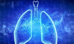 �������ΰ���ת�Ʒ�����������