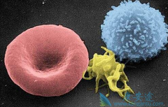 ��֢�ᴫȾ���ǻ��ߺͼ��������ĵ�����