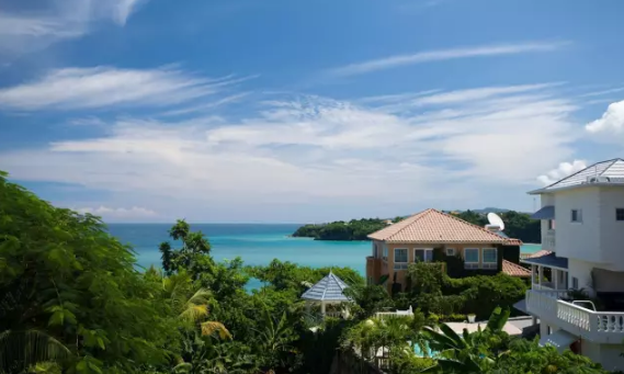 ҽ������