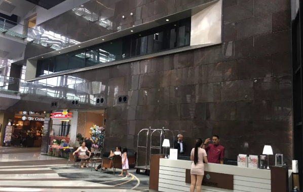 ҽ������