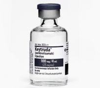 ���ư�֢��PD-1����Keytruda��Ҫ��������