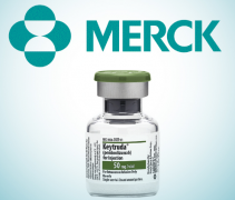 �ŵ�PD-1����������������������ע