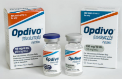 PD-1����Opdivo�����û��߻�ø���