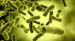 �ɴ�Ⱦ�Բ�����չ�����İ�֢�ᴫȾ��