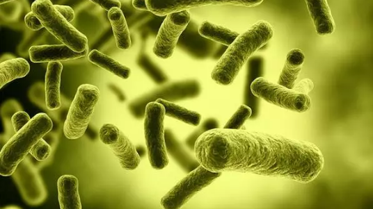 ��֢�ᴫȾ��