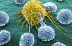 Ϊʲô��֢�β��õ�ԭ����Ҫ�ǰ�֢����ת���ʸ�