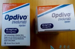 PD-L1���ﲻ���ж���PD-1ҩ��Opdivo�ı�׼