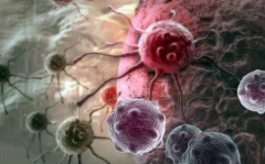 CAR-Tϸ�����Ƶļ�ܳ߶�Ŀǰ�����ѵ�