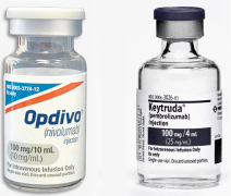 PD-1��Ч�����ͻ��ΰ����ߵ�����ʱ��