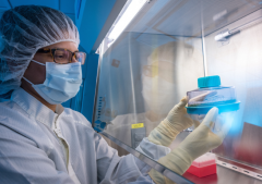 Gilead����������������CAR-T�Ʒ�