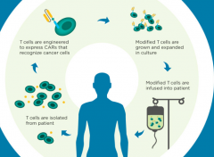 ŵ��Kyrmiah��ȫ���һ����FDA��׼��CAR-T�Ʒ�