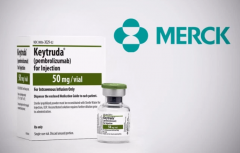 ������˵PD-1���Ƽ��ĸ�����ԶС�ڴ�ͳ�ķŻ���