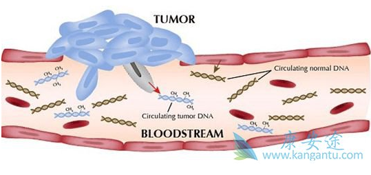 1522747730139904.png blob.png