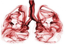 �ΰ��������κ������Ʒ�����ʲô