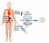 CAR-Tϸ����ʵ�����������������𲽽׶�