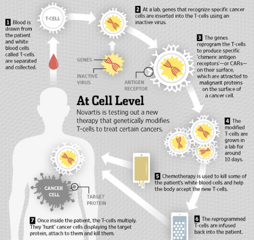 1522813664443356.png blob.png