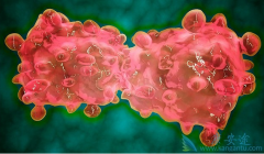 ���ڳ����ĵı��ʰ�֢״��Ҫ������