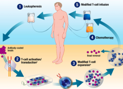 CAR-Tϸ�����Ƶľ��岽�����