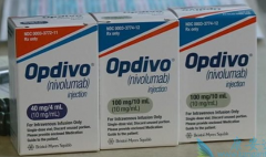 PD-L1�߱����CTCs������Ԥ��PD-1����Ч��