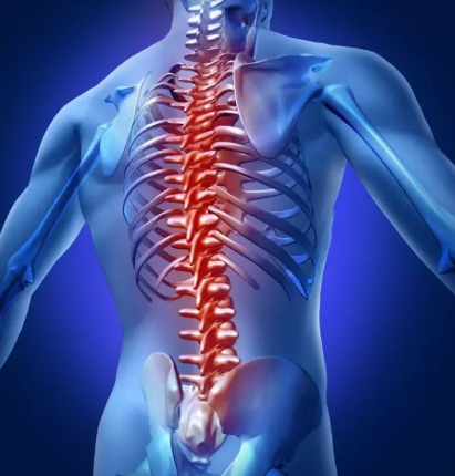 �����İ�֢