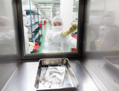 �ҹ���ʵ����CAR-T�о��Ѵﵽȫ������ˮƽ