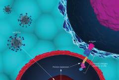 ��ҩ��ͷ������������CAR-Tϸ����������