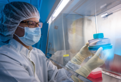 �ӿ��Զ��������ǽ���CAR-T�Ʒ��ɱ��Ĺؼ�����