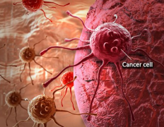 ������Ա�����о�Ϊʲô��֢�β���