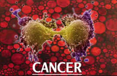 ��֢�����ܻ���ȡ���ڶ���ԭ��