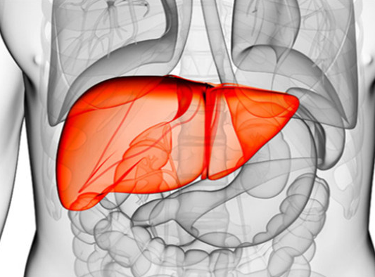 如何治疗丙肝 如何治疗丙肝