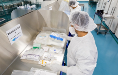 CAR-Tϸ�����Ƶĸ����״��ڶ�ʮ���Ͱ�ʮ������