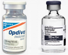 ����PD-1�������Ƹ��ΰ����ߴ����µ���������