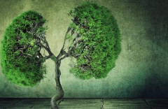 �ΰ������зΰ��������Ʒ�������Щ