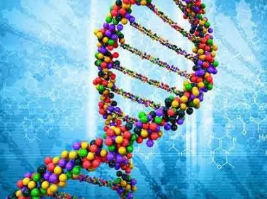 肺癌晚期还能活多久 肺癌晚期还能活多久