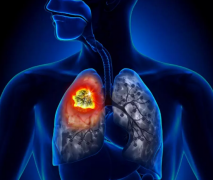 ������Ա�����о����Ʒΰ����·���