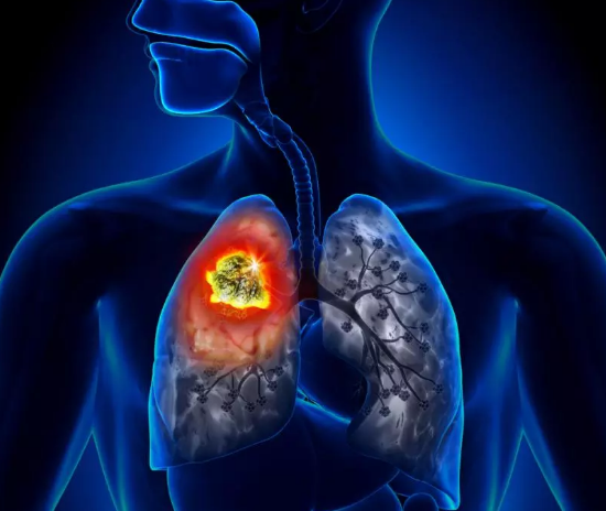 ���Ʒΰ����·���