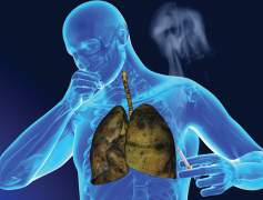 �ΰ��������Ƶ�һ���ѵ����ڷΰ�ת��