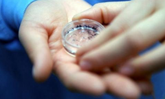 ʲô���Թ�Ӥ����ֲ��ע������