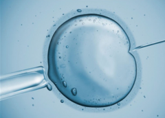 �����Թ�Ӥ���ɹ������Ӱ��ɹ��ʵ�����