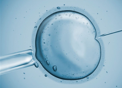 试管婴儿的成功率 试管婴儿的成功率