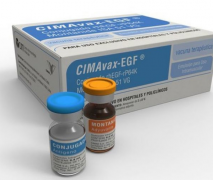 �Űͷΰ����������ٴ�����������