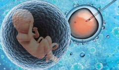 �Թ�Ӥ�����������Ʋ��в����ĸ����ֶ��޷����⹬���з���