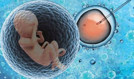 试管婴儿技术 试管婴儿技术